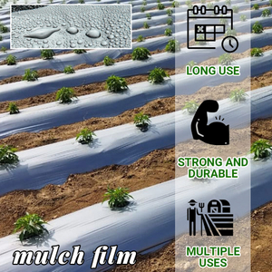 Plastic Black And Silver Mulching Film Agricultural Plastic Mulch Film