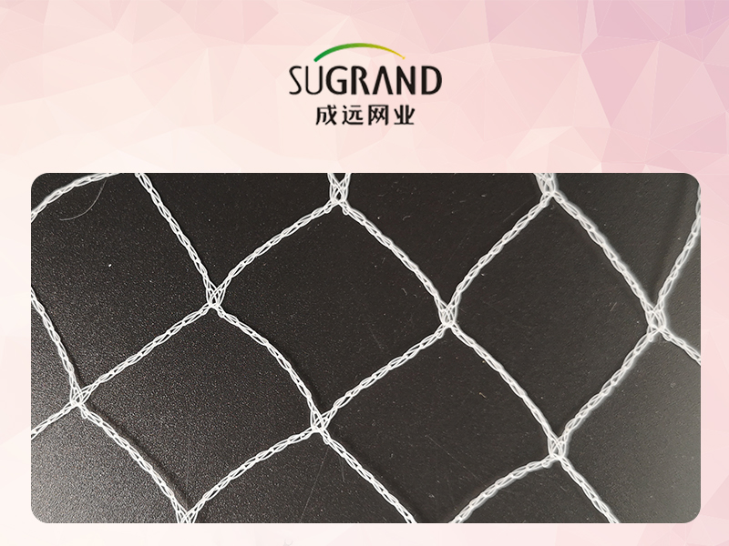 Agricultural HDPE Plastic Invisible Bird Netting For Sale 