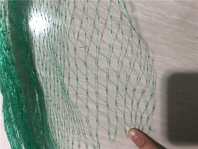 Green Extruded Heavy Duty Anti Bird Netting To Protect Fruit Plants