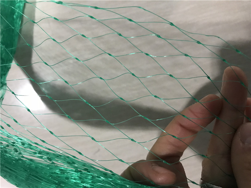 Maintenance Method of Anti Bird Net
