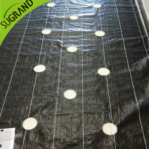 105gsm black ground cover/weed mat with holes for gardens