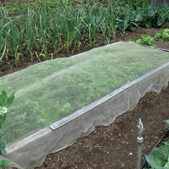 The Foundation of Realizing the Non-pollution of Vegetables--Anti Insect Net