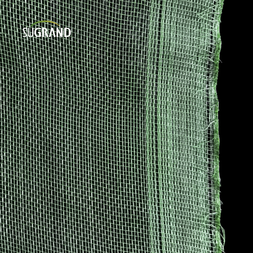 Supply Green 24X17 Mesh 45GSM HDPE Plastic Windows Screen Insect Mesh Net