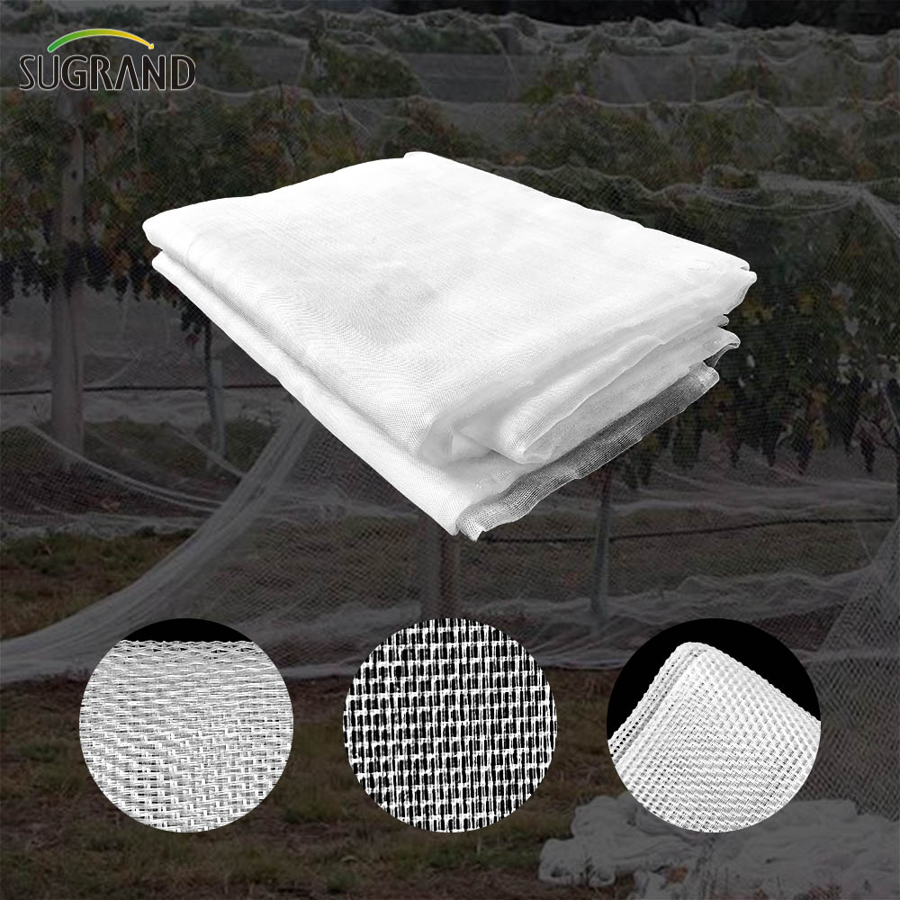 80gsm transparent anti insect net/mosquito net