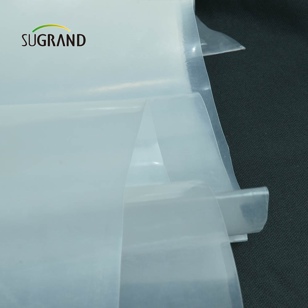 Cheap Factory Price Greenhouse Film Waterproof 150 Micron Greenhouse Film for Vegetable Garden
