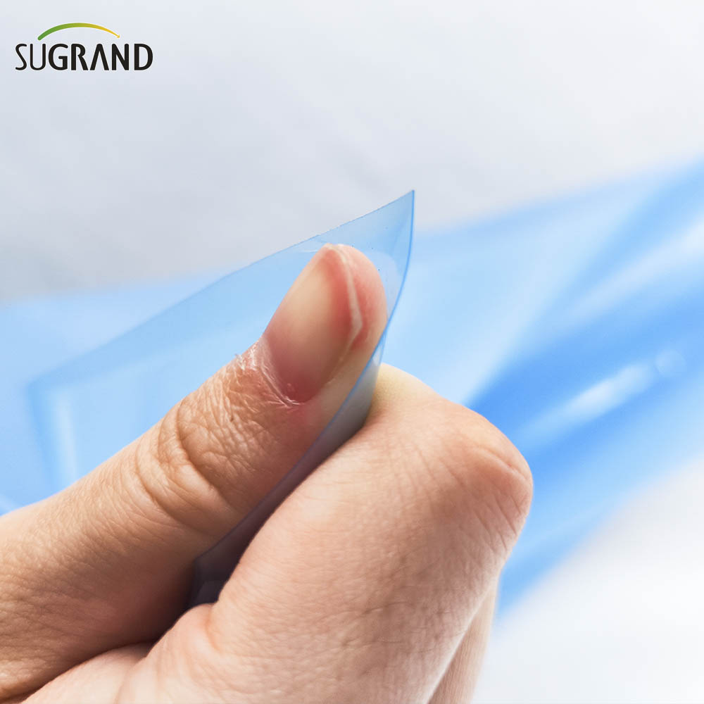  6 Mil Polyethylene Greenhouse Film Blue Greenhouse Plastic Film 