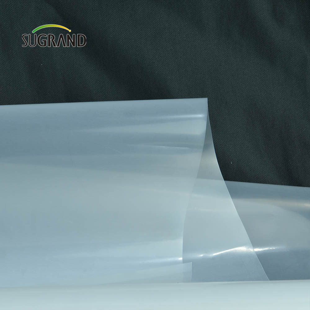 Factory Transparent Greenhouse Plastic 190mic Greenhouse Film for Garden Seedlings