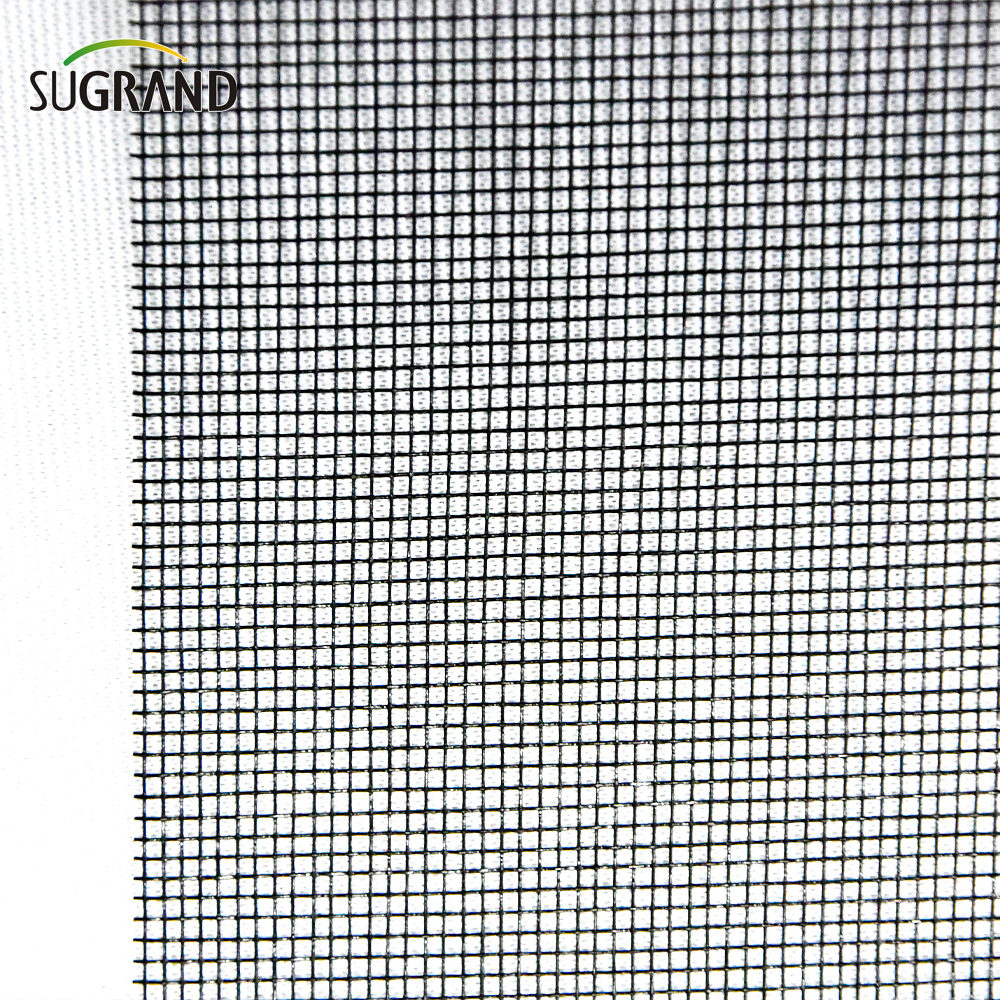 Fiberglass Mosquito Net for Windows Fiberglass Insect Screen