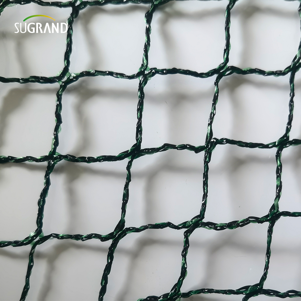 Czech Republic100% HDPE+UV 25GSM 20*20mm Mesh 5*6/12m Black Green Agriculture Catching Bird Mist Netting