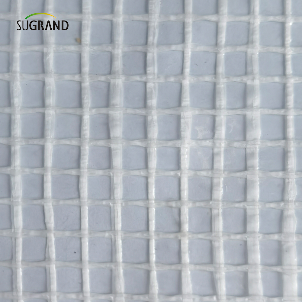 600G Gauge Clear 2*45M/3*45M Fire Retardent White Scaffolding Sheeting Netting