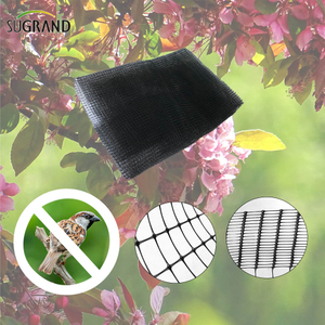 Black Bird Mist Nets Extruded Anti-bird Net Suppliers