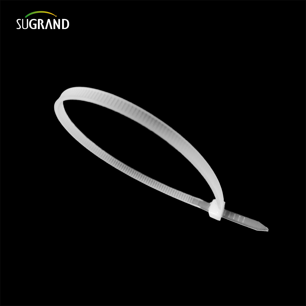 High Quality Plastic Cable Tie Nylon Cable Tie