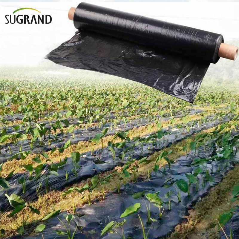 Biotelo Biodegradable Mulch Film Agriplast Mulching from China ...