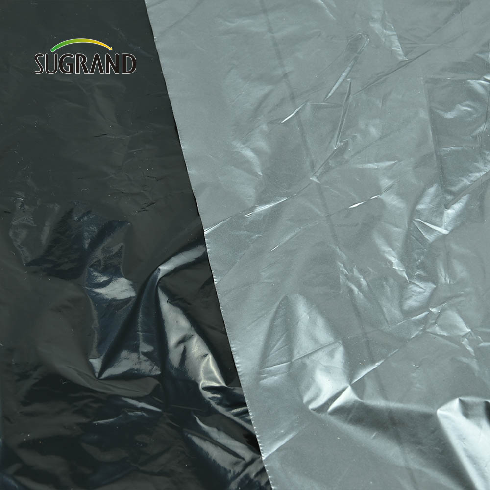 Cheap Factory Price Black Plastic Mulch Biodegradable Uv Mulch Film for Agricultural