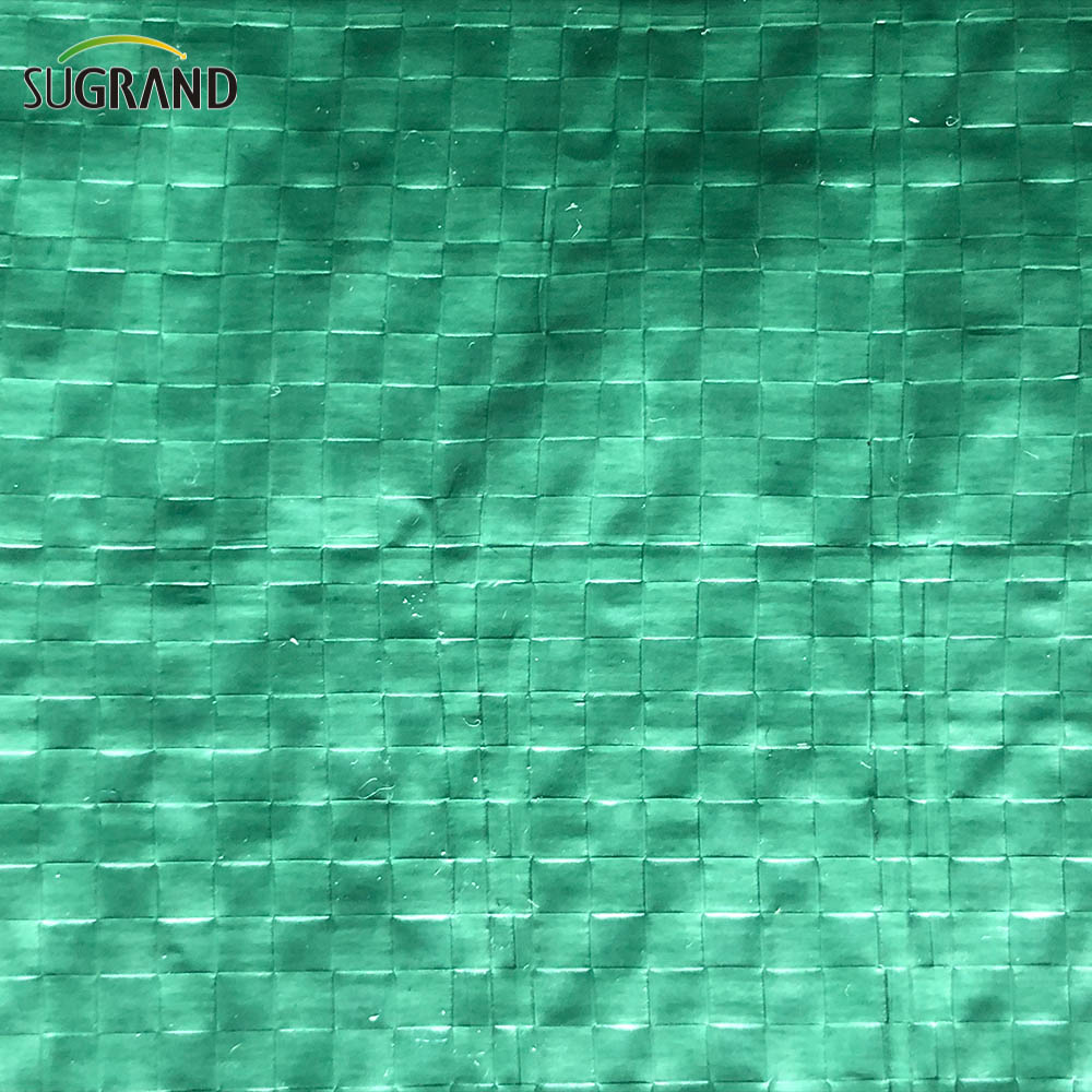 Plastic Canvas Waterproof PE Blue-green Tarpaulin for Agriculture