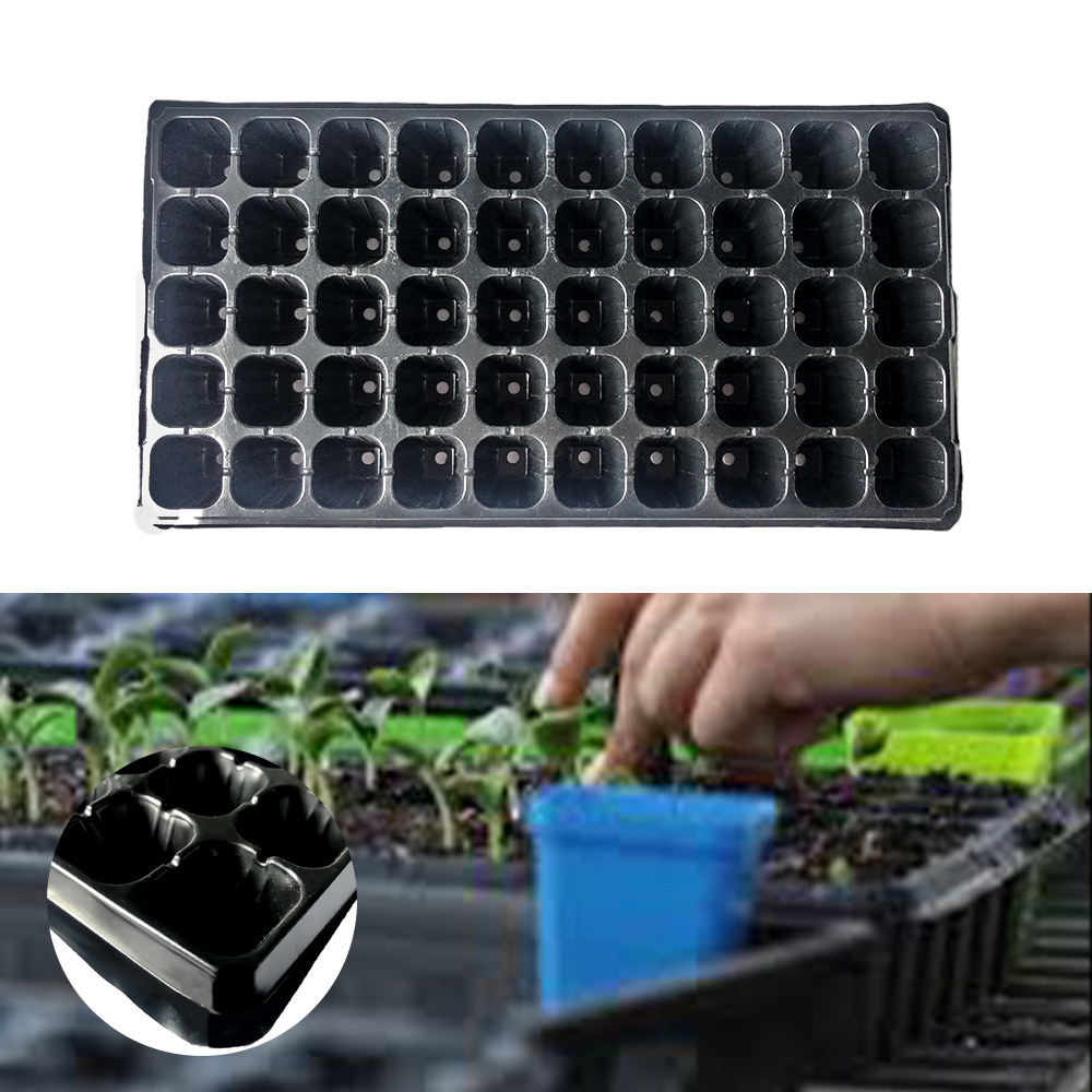 Black Garden Seedling Starter Trays Holes Seedling Tray 