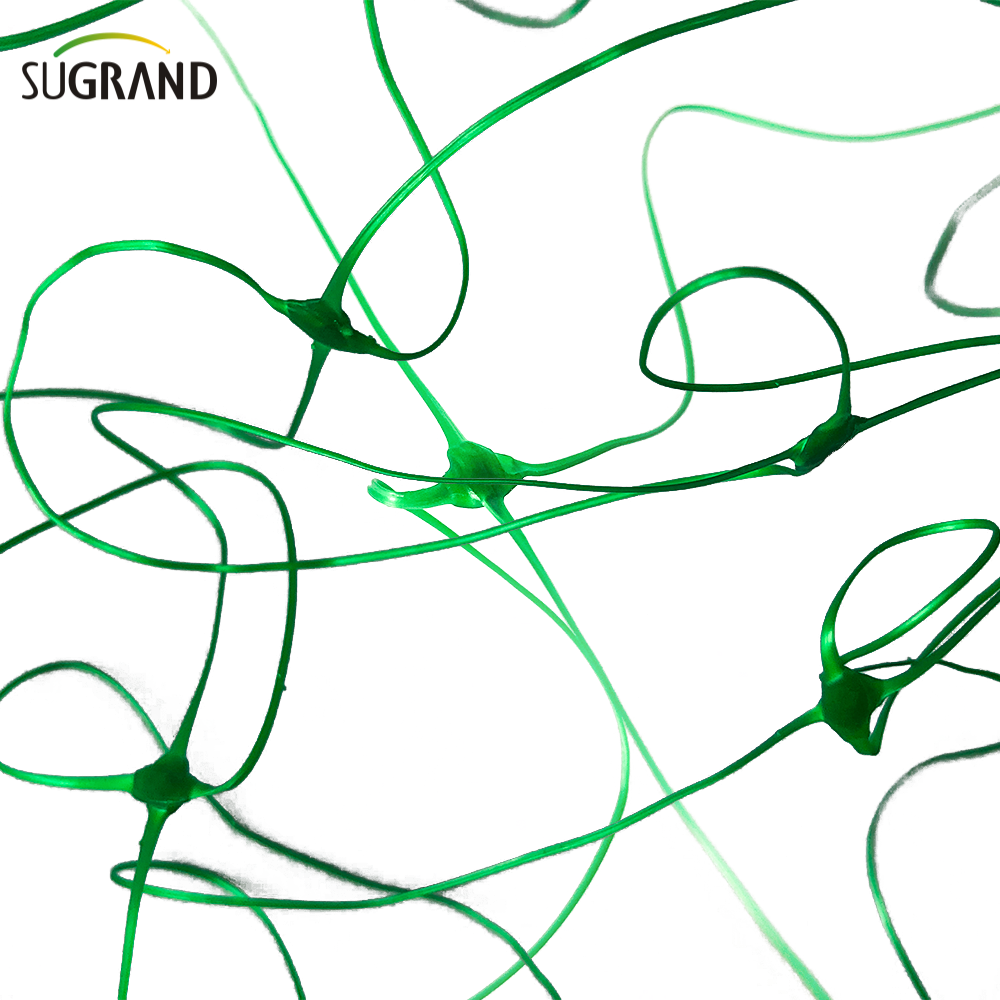 10GSM green plant support net/bean net