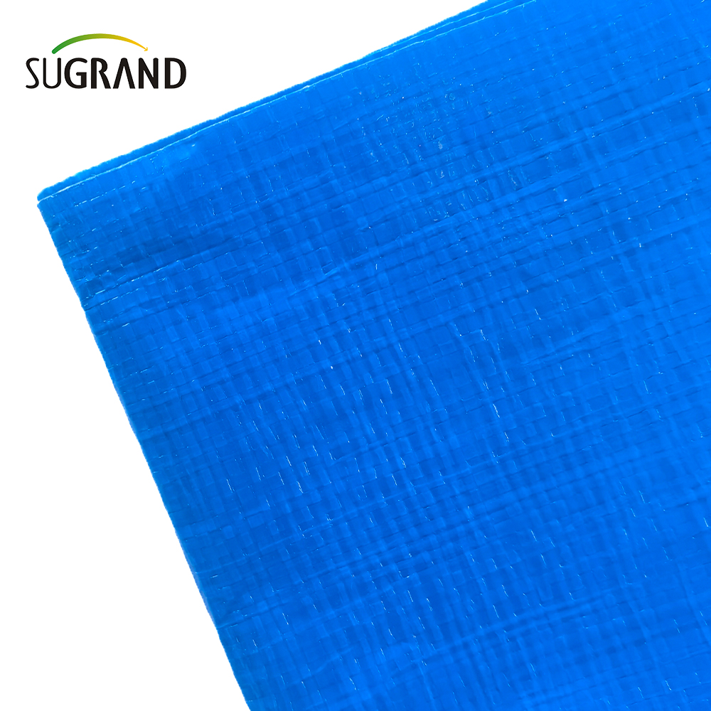 Manufacturer High Strength Durable Blue Waterproof PVC Tarpaulin 