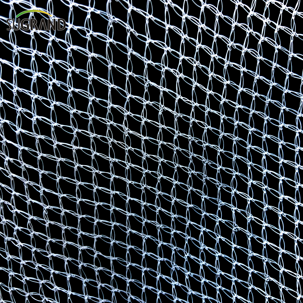 100% HDPE White Anti-bird Net