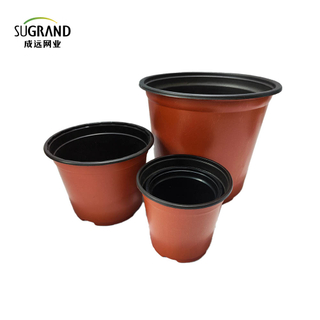 Plastic Flower Pot Plastic Pots for Nursery Plants